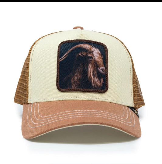 Goat Hat